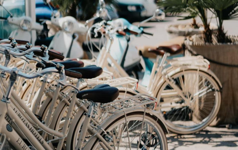 Biciclette parcheggiate vicino a scooter e palme lungo una strada soleggiata.